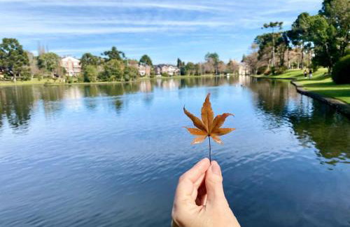 Espetacular apartamento em Canela, Laje de Pedra - Mountain Village - Foto 38