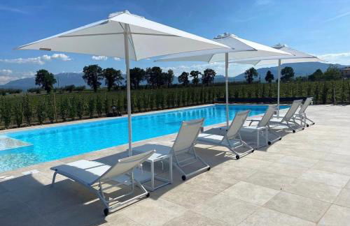 Tenuta Tre Gemme in Cantina - Don Rocco - Foto 8