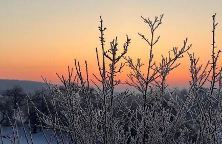 W Kręgu Natury - Foto 67