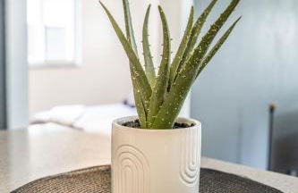 2 BD Home w/ Private Parking, Private Yard & W/D - Photo 28