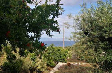 Cottage in Nature - Foto 27