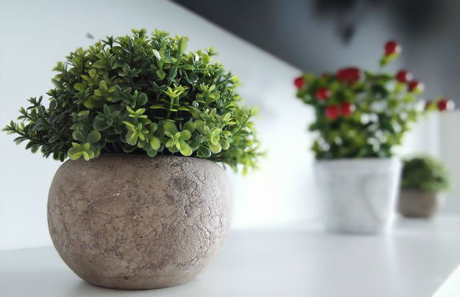 Cyberjaya Cybersquare Soho Suites - Photo 11