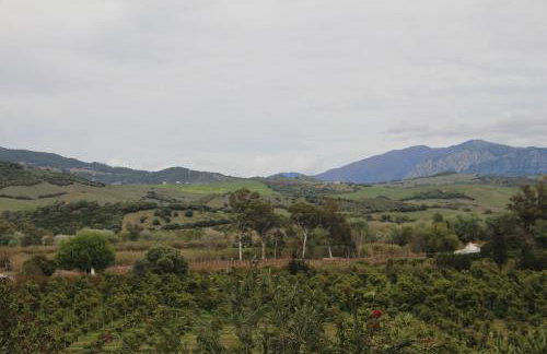 LOS DOS CEDROS - Foto 31