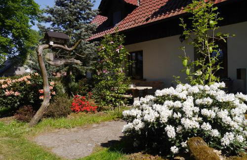 Fewo Lutterow - Foto 4