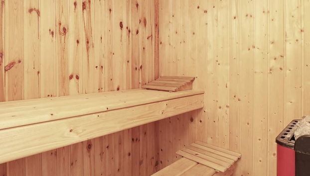 Luxury Spa Retreat in Spodsbjerg - By Traum Ferienwohnungen - Foto 3, Sauna