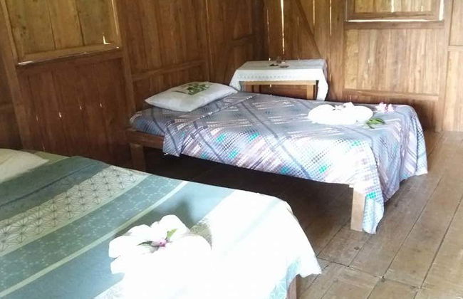 Trilha de 4 dias pelo Parque Nacional Los Quetzales - Foto 7