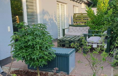 Clara Hills - Foto 5