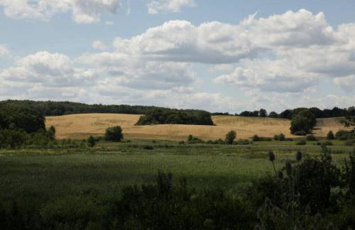 Ferienwohnung in Peetzig am See - Foto 52