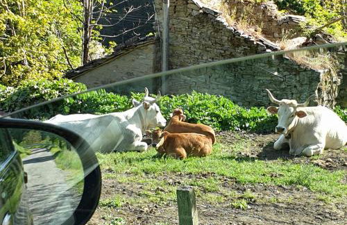 Casa con vista - Foto 38