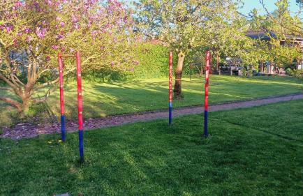 Ferienhaus Undine mit E-Auto-Ladestation - Foto 27