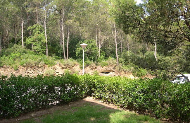 Apartaments Sa Guilla - Foto 47