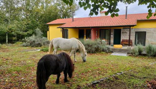Casa das Palmeiras - Pedagogic Farm - Foto 4