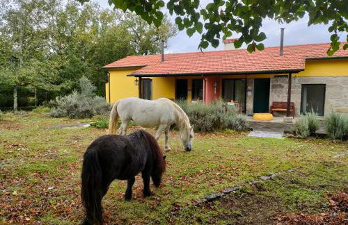 Casa das Palmeiras - Pedagogic Farm - Foto 4