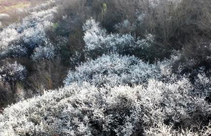 Tenuta i Lecci di Gurian Roberta Maura - Foto 79