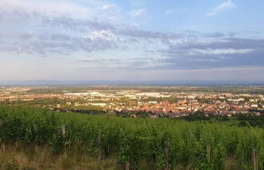 Le Coq de Champagne - Foto 18