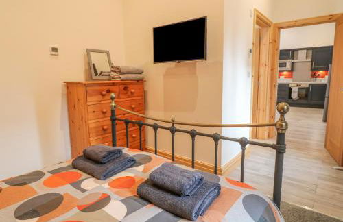 Pipistrelle - Foto 11