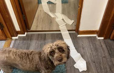 Room with a view - Foto 42