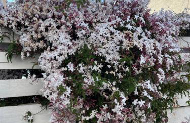 Apartments Petra - Photo 71