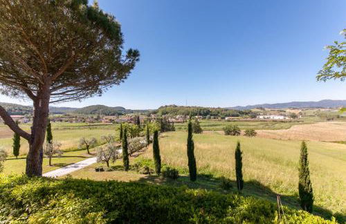 Podere Lo Stringaio - Foto 9