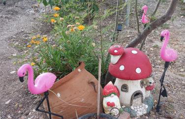 Dora's House - Foto 44