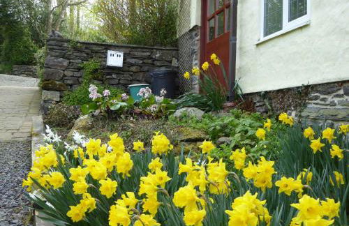 Hafannedd - Photo 14