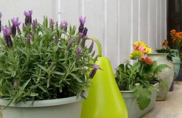 Aquarius Rome Apartments - Photo 29