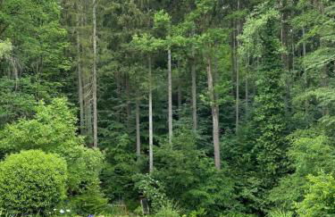 große und luxuriöse Ferienwohnung für max 8 Gäste - Foto 11