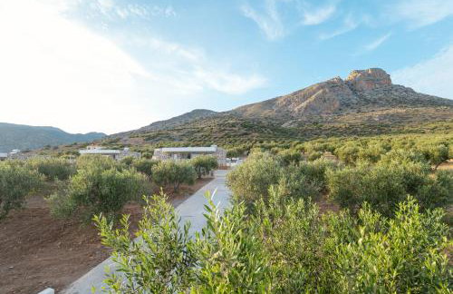 Chryselia Suites- Private Pool - Foto 58