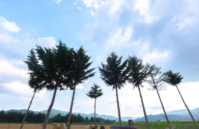 Furano Log House Farm Resort - Foto 24