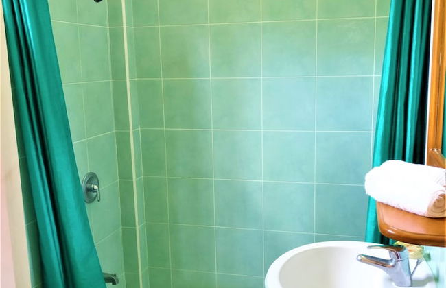 Tobago Hibiscus Villas and Apartments - Foto 40