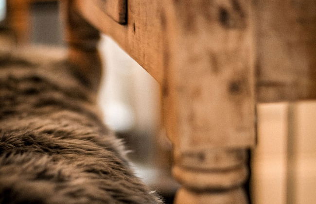 the backyard - Foto 27