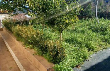 Casa da Nonna Rita - Foto 15