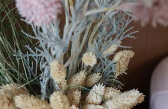 Brautrockstube - Foto 1