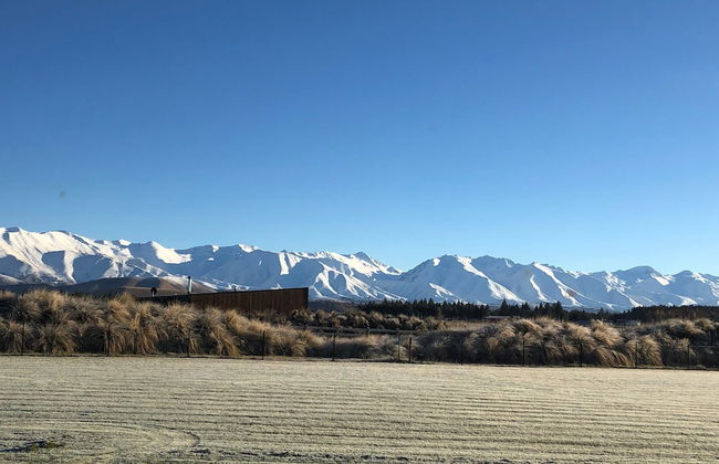 Matuki Gold - Foto 12