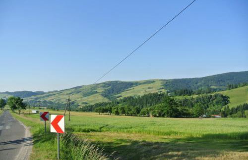 Skała i Las - Foto 21