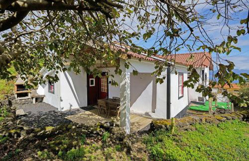 Adega Peróla - Foto 21