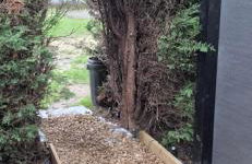 The Orchard's Nook Treehouse - Foto 41