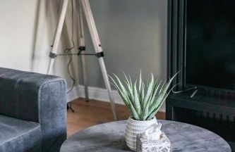 Victory House - Foto 10