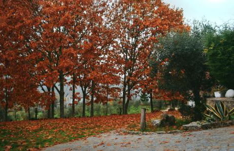 Quinta das Fontes - Alojamento Rústico Local e Turismo Rural - Foto 37
