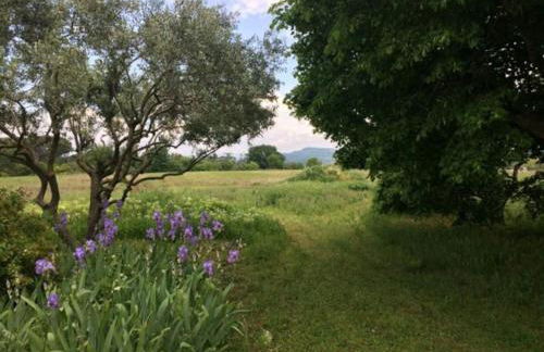 Mas de "La Garcine" - Foto 14