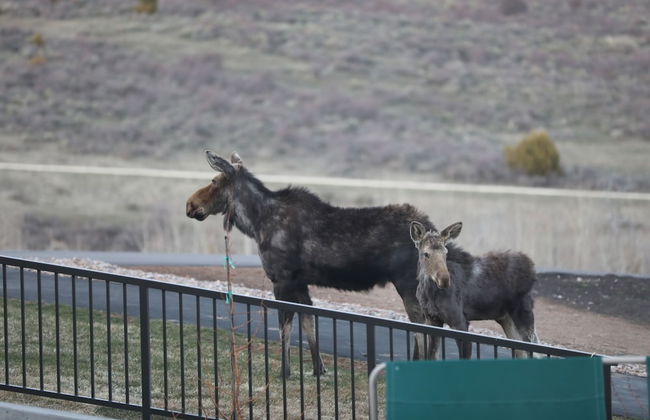 Glenn Haven by Cloud Dream Homes - Foto 66