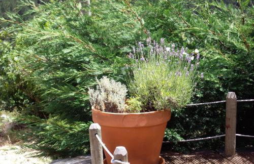 Pátio do Xisto - Foto 29