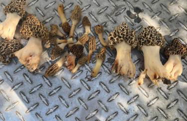 Cozy Cabin - Foto 88