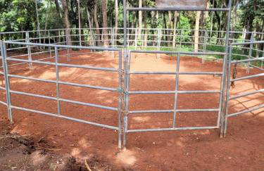 Exclusivo Haras Marilu! - Foto 47