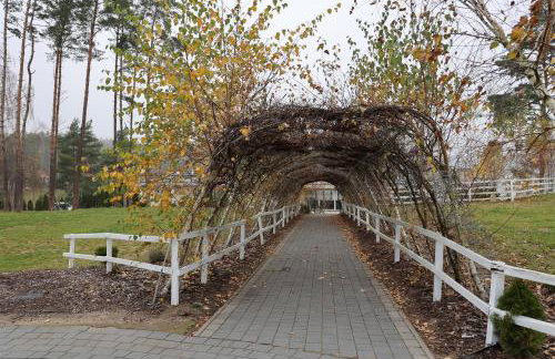 Zielony Zakątek na Gwizdówce - Foto 26