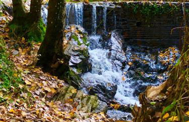 ALOJAMIENTO RURAL EL CASTAÑO - Foto 70
