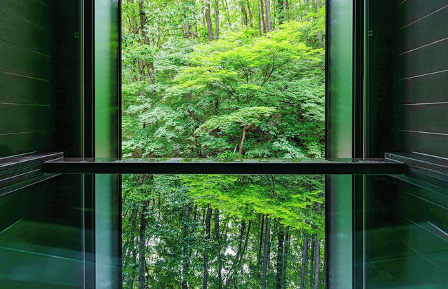 Phoenix Chalets - Foto 69