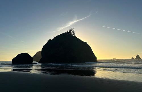 Cozy Coastal by Beaches & Redwoods - Photo 12