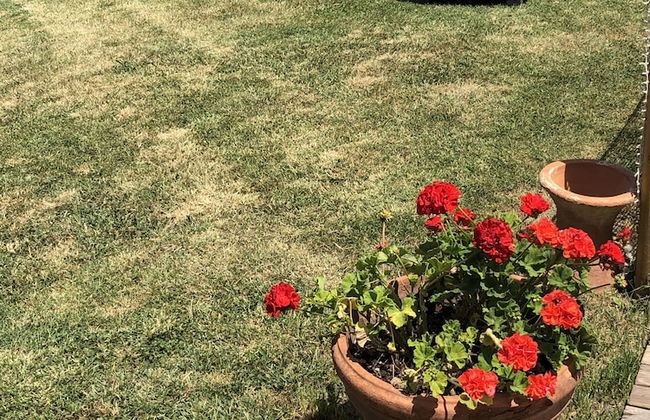 Podere Cortesi Agriturismo Molinaccio - Foto 38