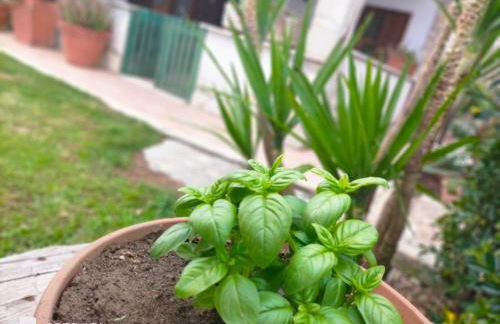 Casale del sole - Foto 7